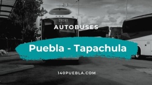 Autobuses de Puebla a Tapachula