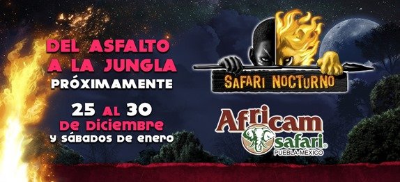 boletos para africam safari nocturno